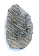 FileNo.167-195.jpg