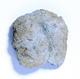 FileNo.167-219.jpg