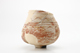 FileNo.167-247.jpg