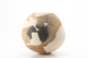 FileNo.167-248.jpg