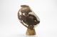 FileNo.167-252.jpg