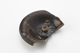 FileNo.167-282.jpg