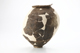 FileNo.167-290.jpg