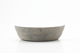 FileNo.167-294.jpg
