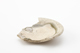 FileNo.167-297.jpg
