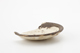 FileNo.167-320.jpg