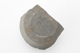 FileNo.167-330.jpg