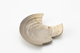 FileNo.167-346.jpg