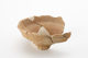 FileNo.167-370.jpg