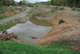 FileNo.170-003.jpg