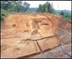 FileNo.170-005.jpg