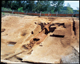 FileNo.170-006.jpg