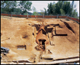 FileNo.170-007.jpg