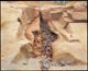 FileNo.170-009.jpg
