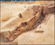 FileNo.170-010.jpg