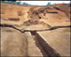 FileNo.170-011.jpg