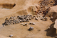 FileNo.170-013.jpg