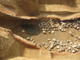 FileNo.170-014.jpg