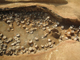 FileNo.170-016.jpg