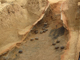 FileNo.170-019.jpg