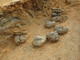 FileNo.170-020.jpg
