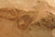 FileNo.170-021.jpg