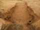 FileNo.170-022.jpg