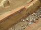 FileNo.170-024.jpg