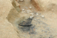 FileNo.170-025.jpg