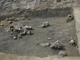 FileNo.170-026.jpg