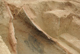 FileNo.170-029.jpg