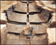 FileNo.170-031.jpg