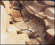 FileNo.170-034.jpg