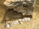 FileNo.170-037.jpg