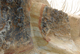 FileNo.170-040.jpg