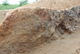 FileNo.170-042.jpg