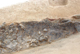 FileNo.170-043.jpg