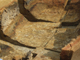 FileNo.170-047.jpg