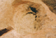 FileNo.170-052.jpg