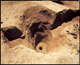 FileNo.170-054.jpg