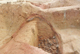 FileNo.170-062.jpg
