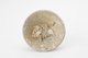FileNo.170-076.jpg