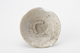 FileNo.170-078.jpg