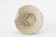 FileNo.170-080.jpg