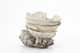 FileNo.170-082.jpg