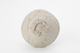 FileNo.170-084.jpg
