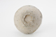 FileNo.170-086.jpg