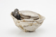 FileNo.170-092.jpg
