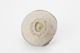 FileNo.170-095.jpg