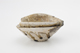 FileNo.170-098.jpg